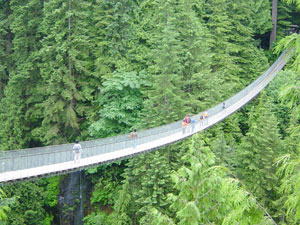 capilano suspension bridge in vancouver