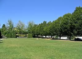 dog parks in vancouver