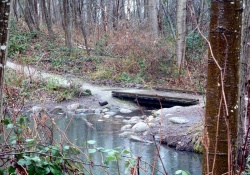 dog parks in vancouver