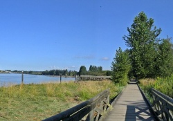 dog parks in vancouver