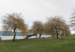 dog parks in vancouver