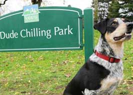 dog parks in vancouver
