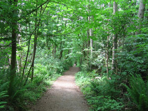 pacific spirit regional park