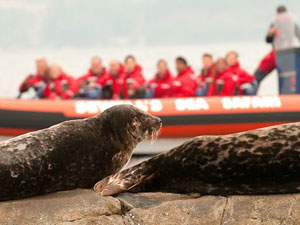sewell marina in vancouver