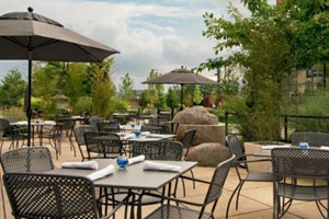 pet friendly restaurant in vancouver