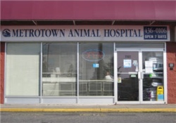 vet in vancouver