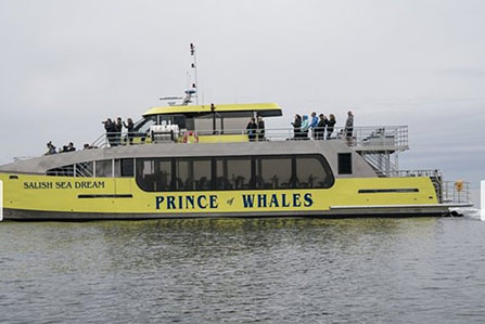 whale watching vancouver