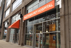 veterinarian in vancouver canada